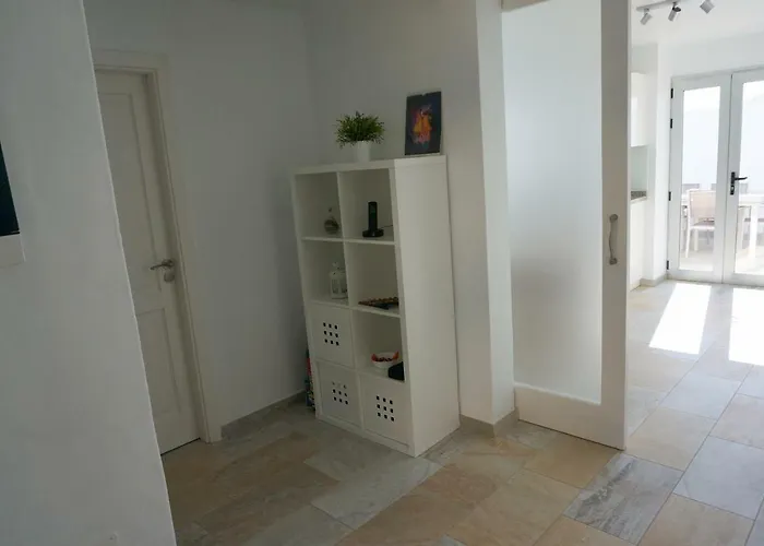 فيلة Malaguenas *