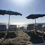 Malaguenas فيلة